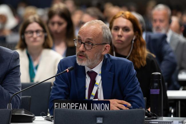 Peter Wittoeck, EU