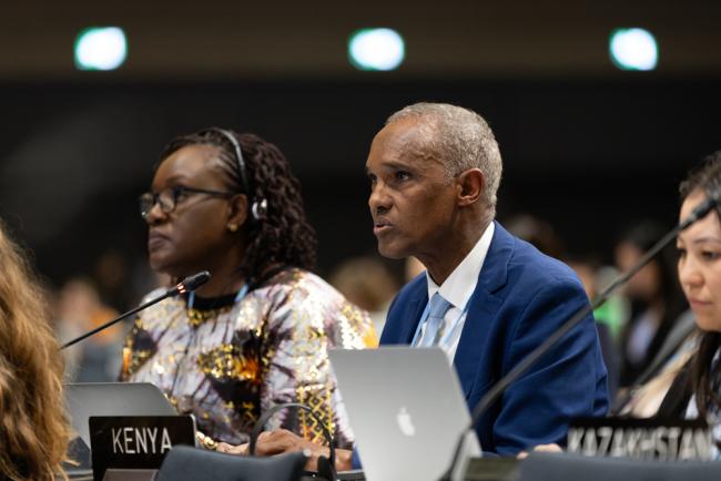 Ali Mohamed, Kenya, on behalf of the African Group