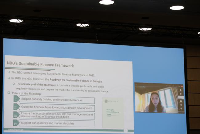 Salome Tvalodze, National Bank of Georgia, presents virtually 