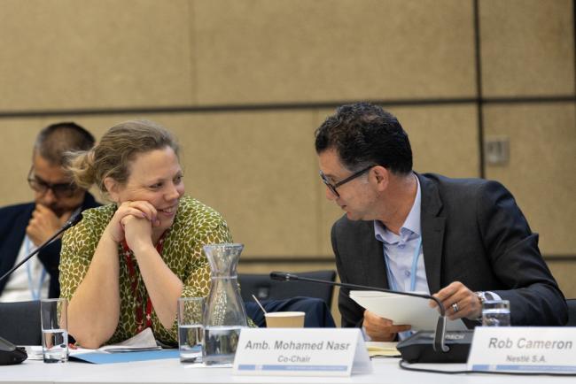 Sharm el-Sheikh Dialogue Co-Chairs  Gabriela Blatter, Switzerland, and Mohamed Nasr, Egypt 