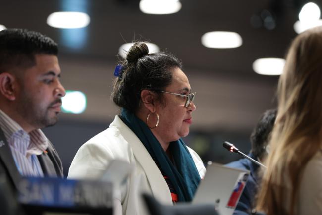 Anne Rasmussen, Samoa, on behalf of the Alliance of Small Island States (AOSIS)