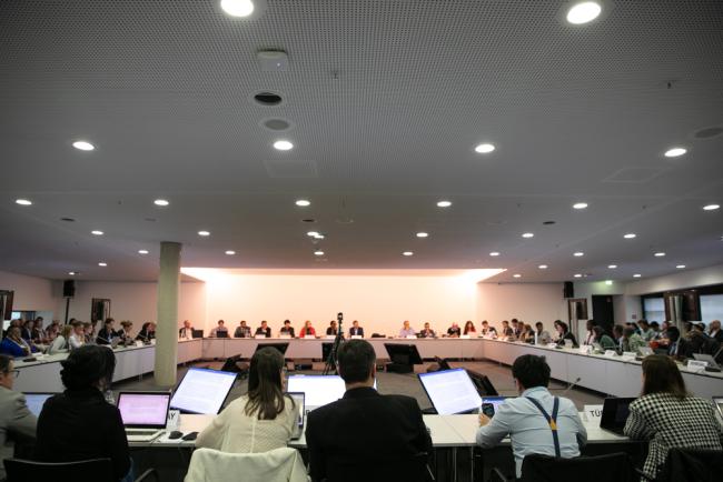 Informal consultations on agriculture and food security
