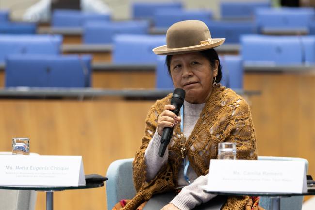 María Eugenia Choque Quispe, Network on Biodiversity of Indigenous Women from Latin America and the Caribbean