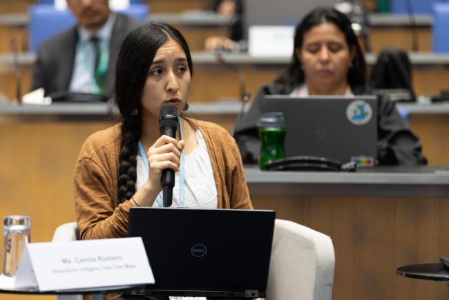 Camilla Romero, Asociación Indígena Trem Tem Mapu