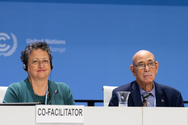 Co-Facilitators for the Mitigation Work Programme Kay Harrison, New Zealand, and Carlos Fuller, Belize