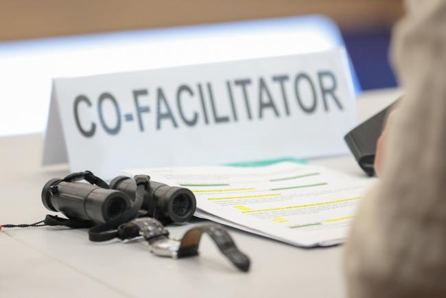 Peer Stiansen, Co-Facilitator for Article 6.2, brings a pair of binoculars to the session due to the size of the room