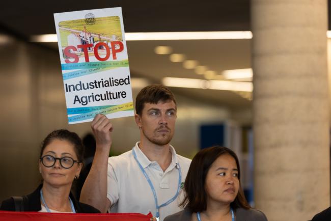 While negotiations continue, members of civil society demonstrate in the corridors, calling for climate-resilient food systems