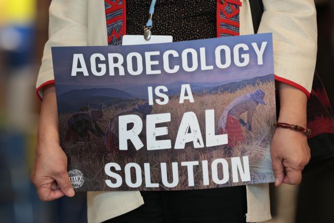 Civil society action