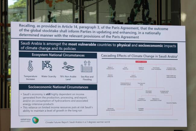 A slide from Saudi Arabia's presentation