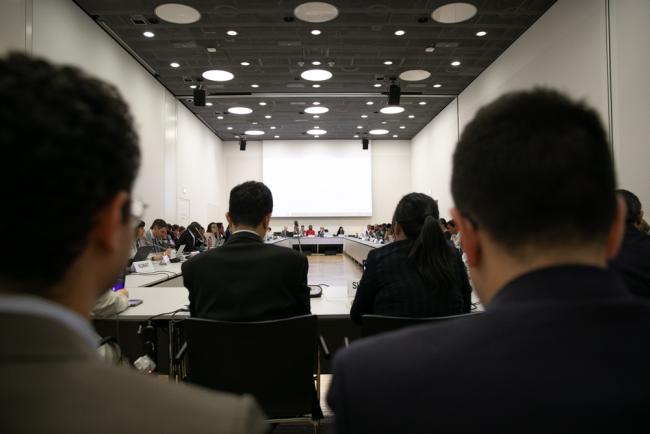 Informal consultations on research and systematic observation 