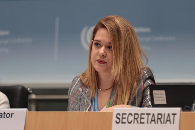 Aysin Turpanci, SBI Rapporteur