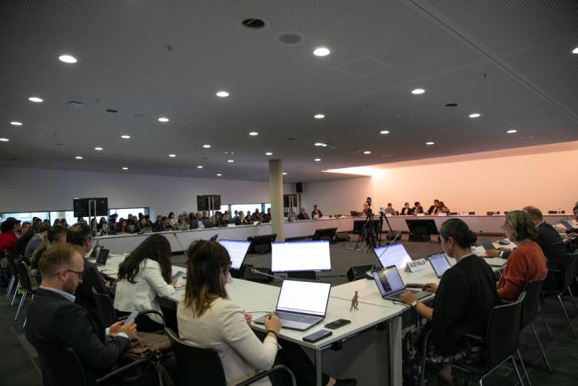 Informal consultations on Local Communities and Indigenous Peoples Platform (LCIPP)