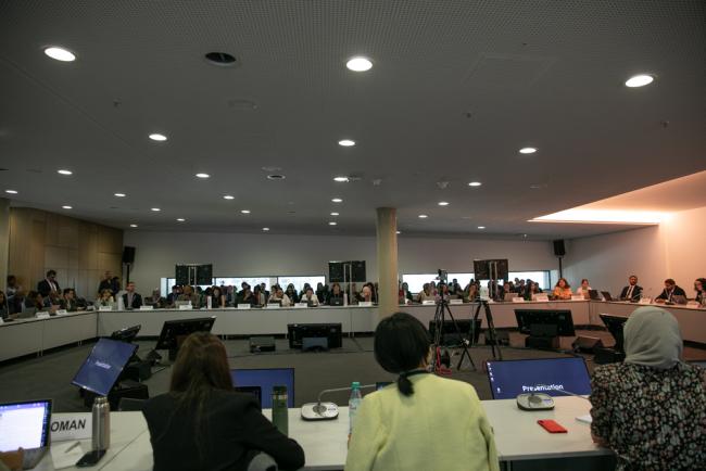 Informal consultations on National Adaptation Plans (NAPs)