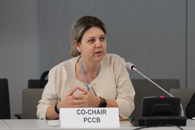 Roberta Ianna, Co-Chair, Paris Committee on Capacity-building (PCCB)