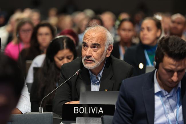Diego Pacheco, Bolivia, on behalf of Like-Minded Developing Countries (LMDCs)