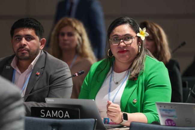 Anne Rasmussen, Samoa, on behalf of the Alliance of Small Island States (AOSIS)