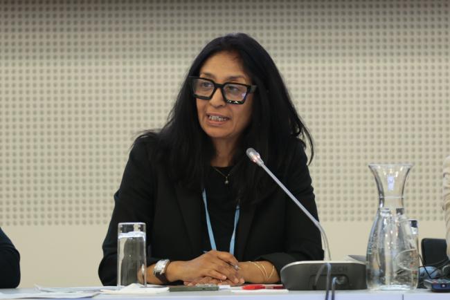 Moderator Soma Chakrabarti, independent consultant