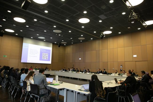 Informal consultations on matters relating to capacity-building