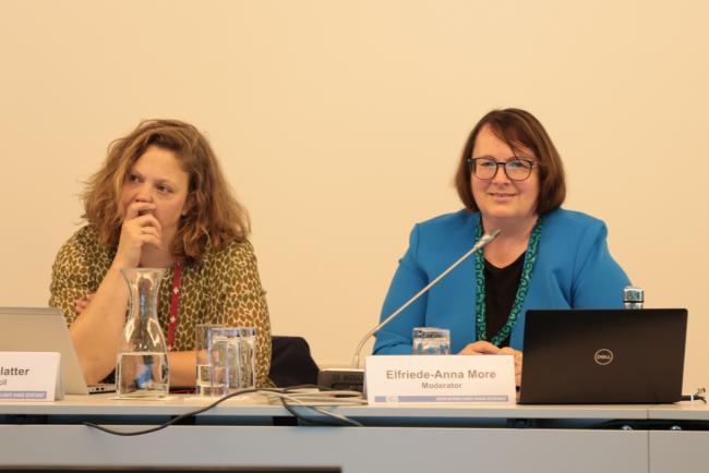 Gabriella Blatter, Global Environment Facility (GEF) Council