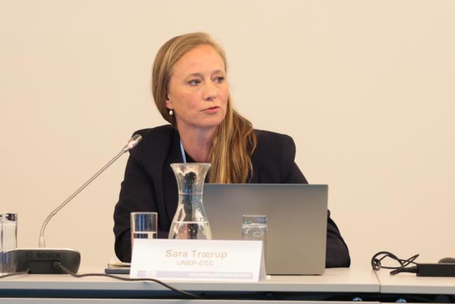 Sara Trærup, UN Environment Programme (UNEP)