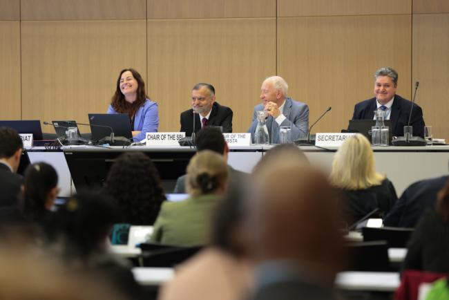 Nabeel Munir, SBI Chair, and Harry Vreuls, SBSTA Chair, present the Report of the Adaptation Committee