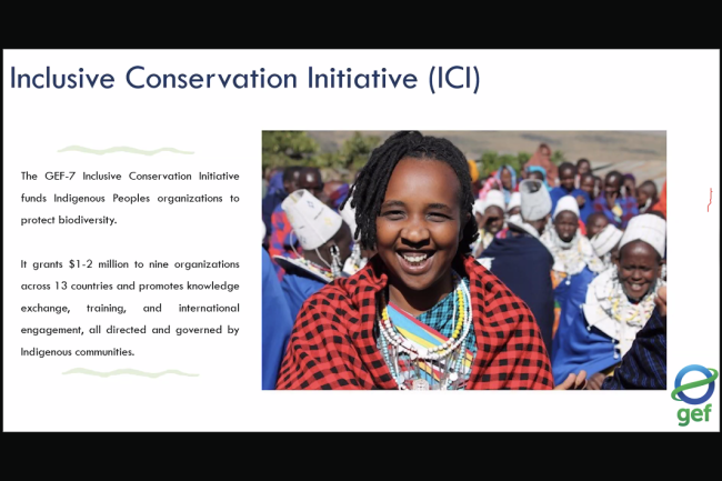 Inclusive Conservation Initiative - GEF67Council_GEF_CSO_Consultation-14June2024