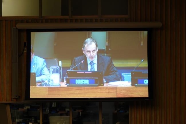 Vladimir Jares, Director, DOALOS