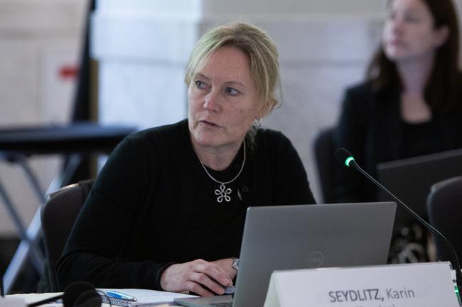 Karin Seydlitz, Council Member, Sweden - GEF67 - 20June2024