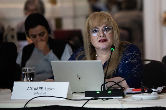 Laura Elisa Aguirre Tellez, Council Member, Mexico - GEF67 - 17June2024