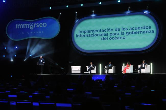 Panel on Implementation of International Agreements for Ocean Governance