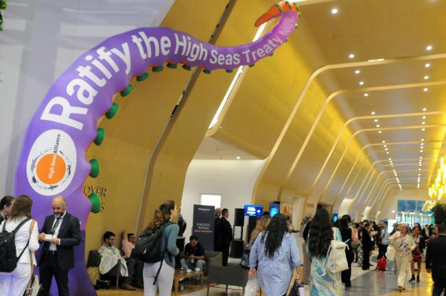 Ratify the High Seas Treaty Now