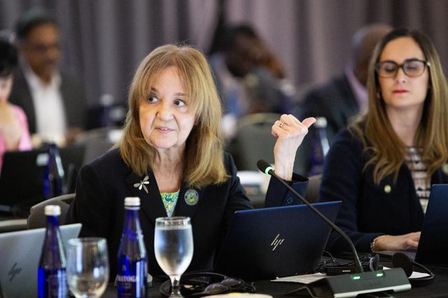 Rosina Bierbaum, Chair of the Science and Technical Advisory Panel (STAP) - GEF67 - 17June2024
