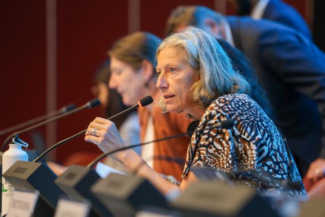 OEWG Chair Gudi Alkemade