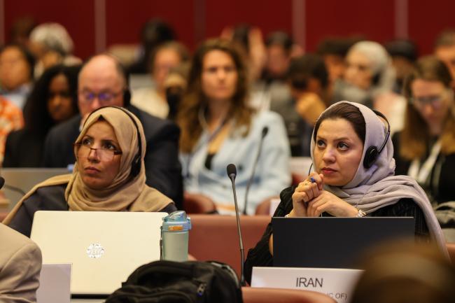 Plenary