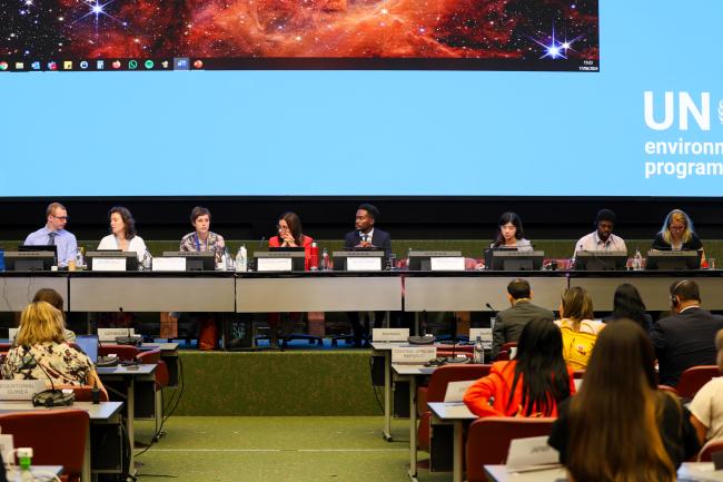 View of the dais during Contact Group 1
