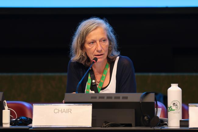 OEWG Chair Gudi Alkemade