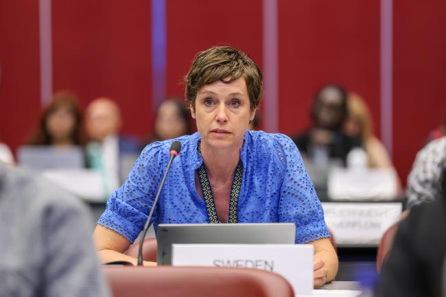 Sofia Tingstorp, Sweden, reporting back from Contact Group 1