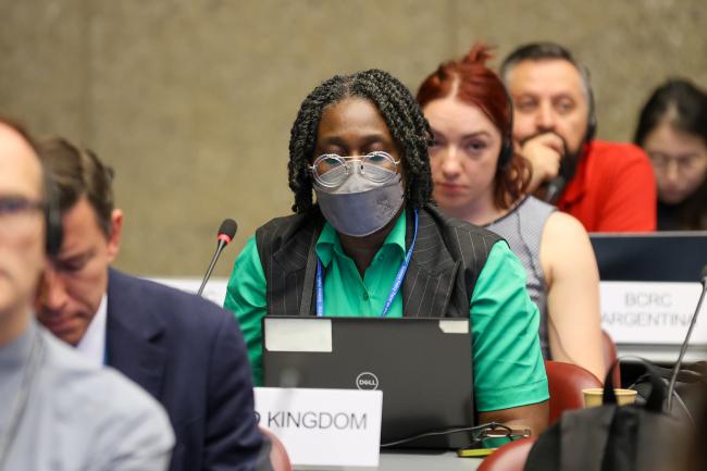 Toks Akinseye, UK, reporting back from Contact Group 4
