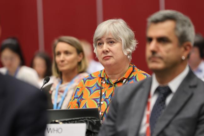 Lesley Jayne Onyon, World Health Organization