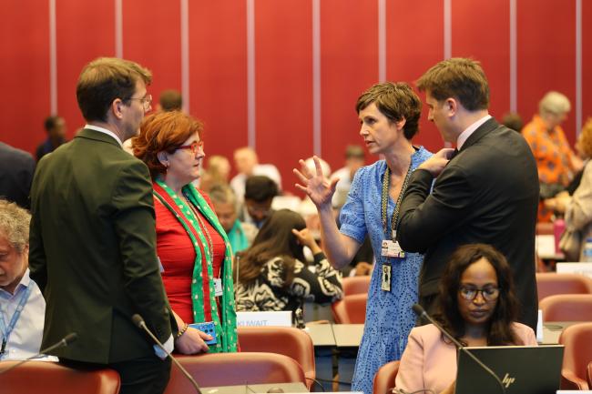 Delegates from the EU