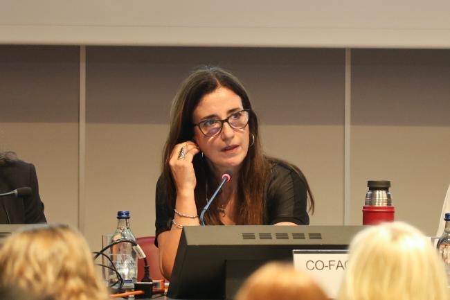 Contact Group 1 Co-Facilitator Judith Torres, Uruguay