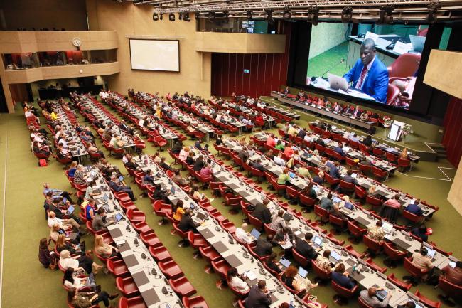 View of the room during plenary