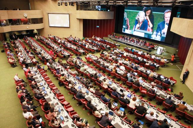 View of the room during plenary