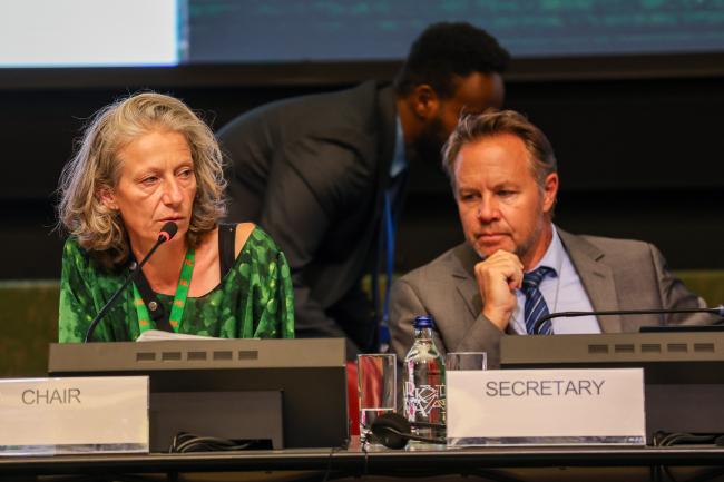 OEWG Chair Gudi Alkemade, and Ulf Björnholm, Secretariat