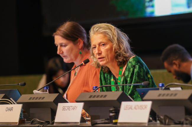 OEWG Chair Gudi Alkemade