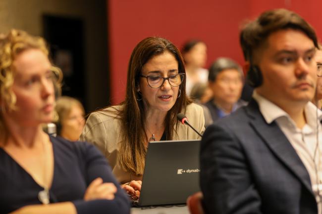 Co-Facilitator Judith Torres, Uruguay, reporting back from Contact Group 2