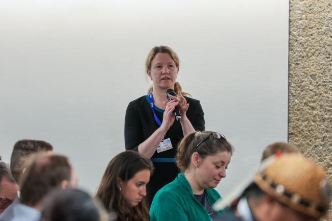 Sara Brosche, International Pollutants Elimination Network