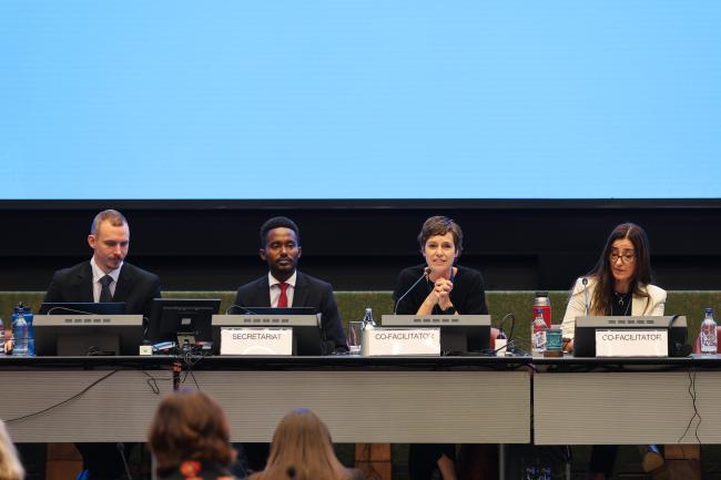 View of the dais during Contact Group 1