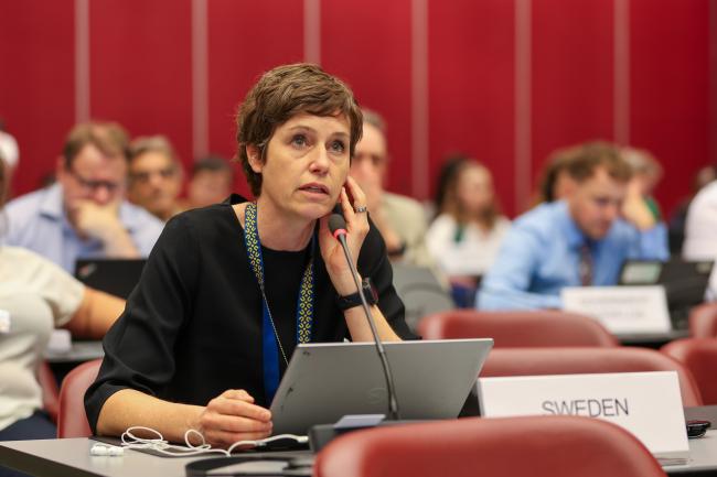 Sofia Tingstorp, Sweden, reporting back from Contact Group 1