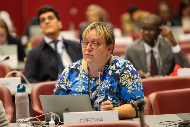 Kateřina Šebková, Czechia, reporting back from Contact Group 2